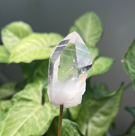 8/23 Clear Quartz Plant Crystal