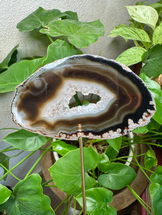 4/7 Natural Agate