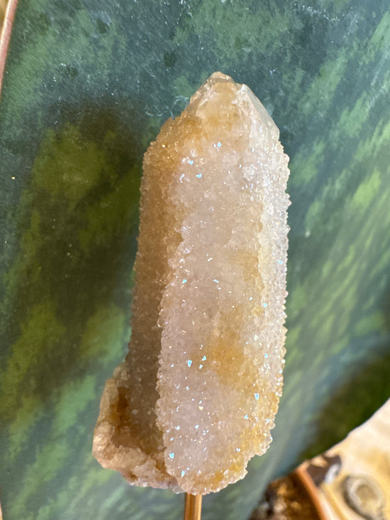 4/20 Witches Finger