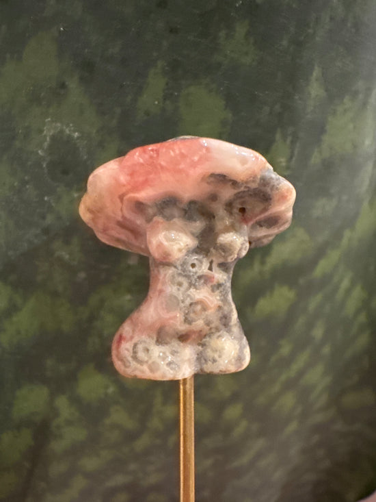 3/2 Mini Mushy Goddess