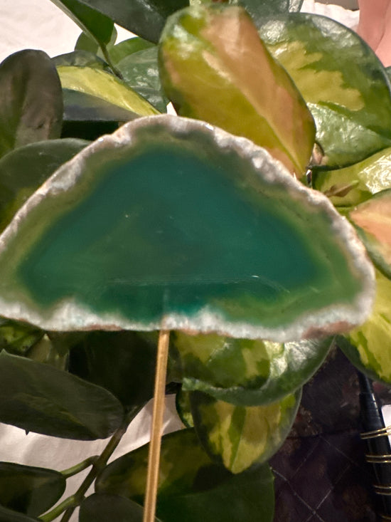 4/13 Green Agate