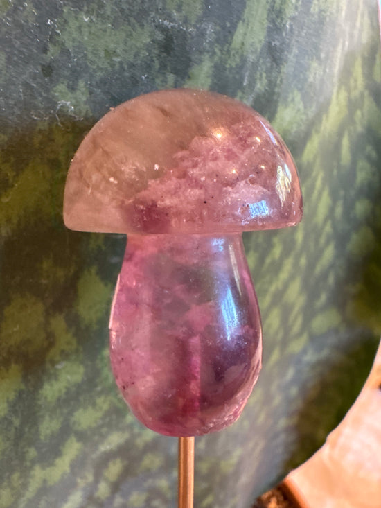 4/20 Fluorite Mushy