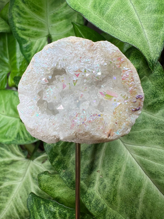 9/24 Angel Aura Geode Plant Crystal