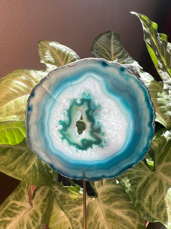 9/3 Teal Agate Plant Crystal