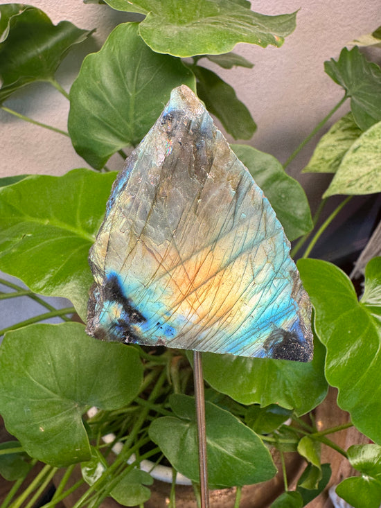 3/17 Labradorite Flash