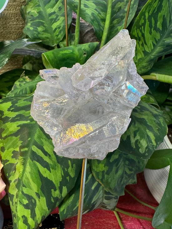 Reserved for Crescent Moon - Angel Aura Garden Quartz and Free Mini Lemurian Quartz