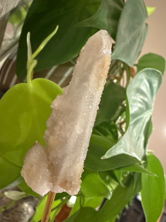 MG Witches Finger