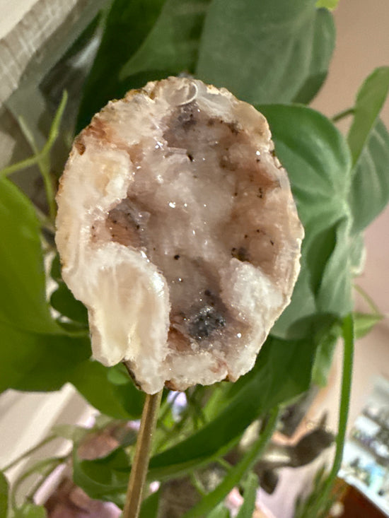 MG Rose Quartz Geode