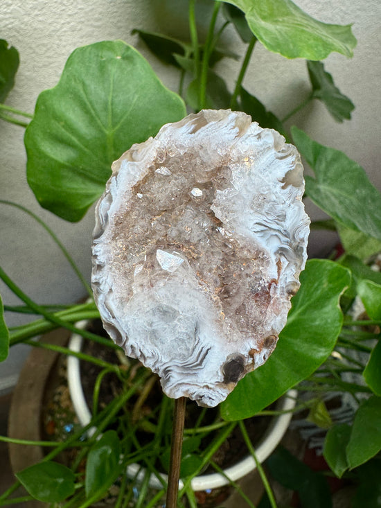 6/20 Mini Agate Geode