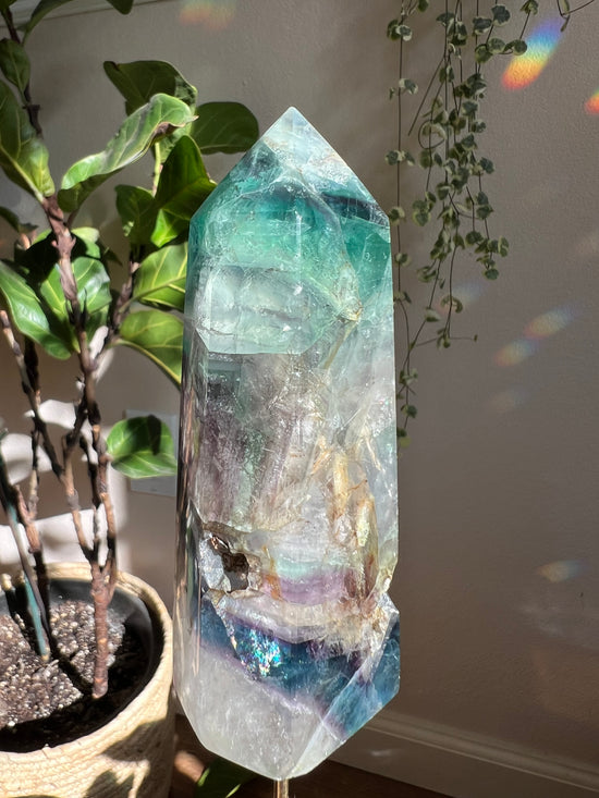 Large AAA Rainbow Fluorite Plant Crystal