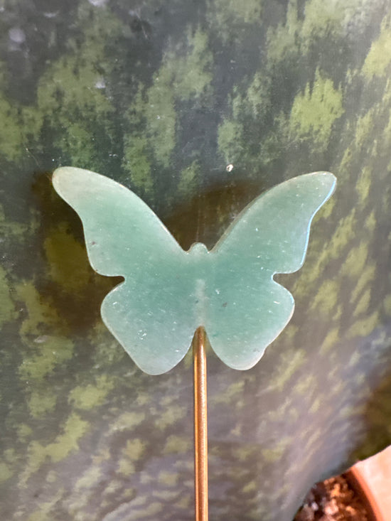 4/18 Aventurine Butterfly