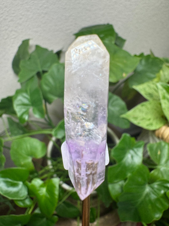 5/23 Amethyst Mini