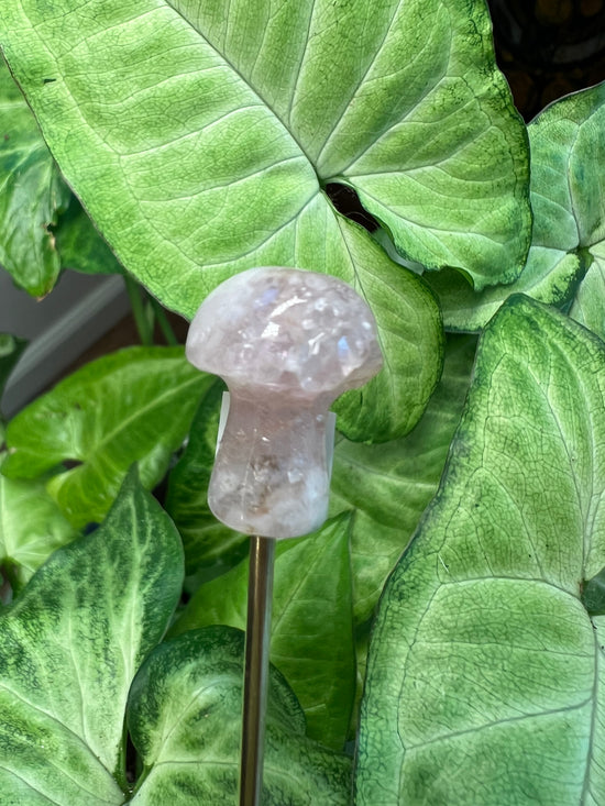 9/17 J Mini Flower Agate Mushroom Plant Crystal