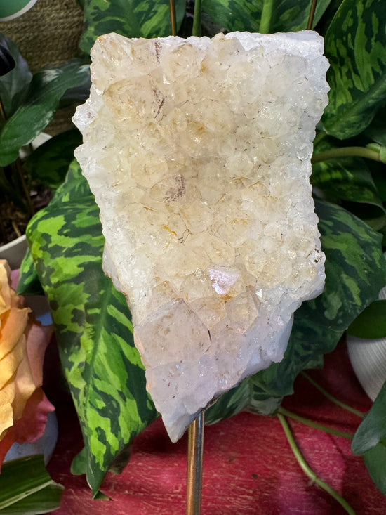 8/8 Large Citrine