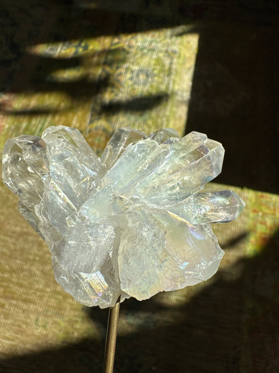 3/23 Angel Aura