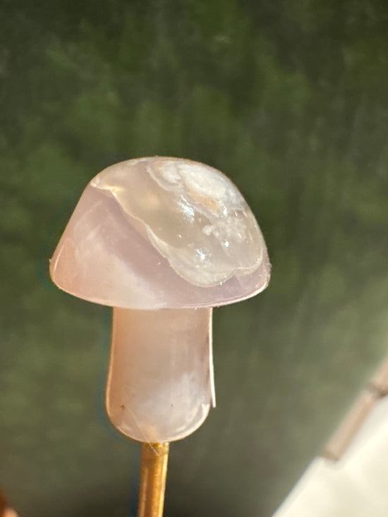 3/7 Mini Mushy