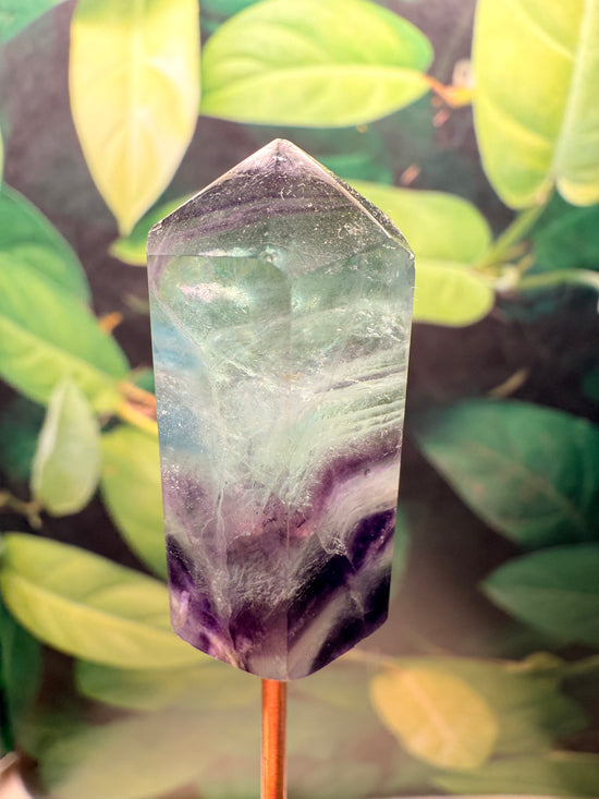 Divina Fluorite Plant Crystal Mini