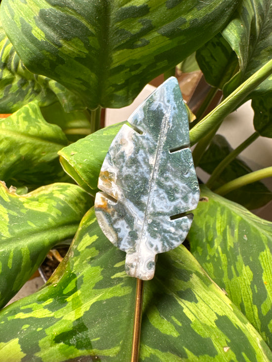 8/16 Moss Agate Leaf