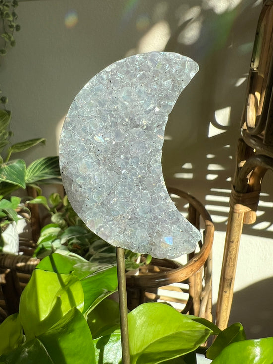 Angel Aura Amethyst Moon Plant Crystal