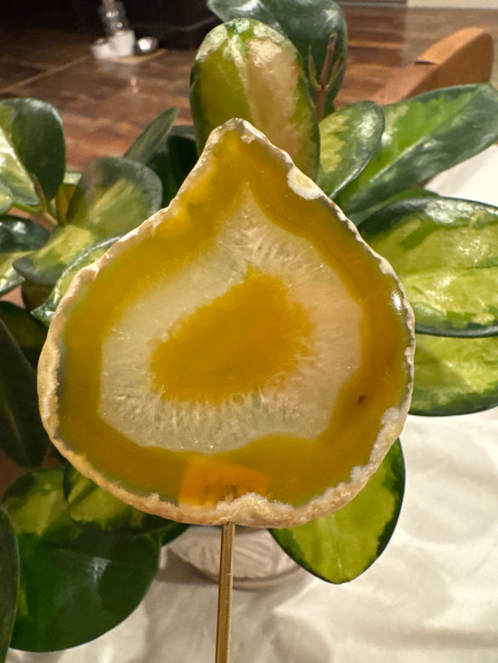 4/13 Yellow Agate