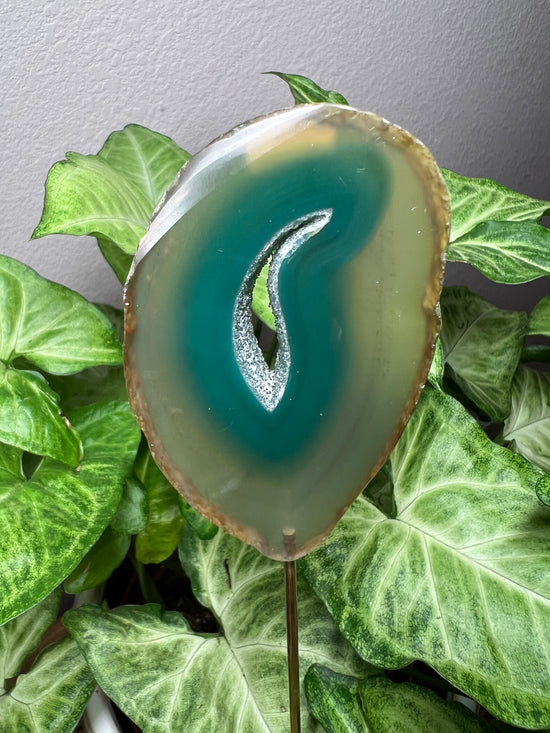 8/27 Green Agate Plant Crystal