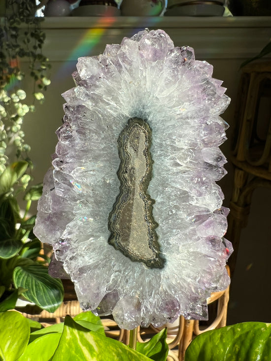 Large Amethyst Flower Plant Crystal