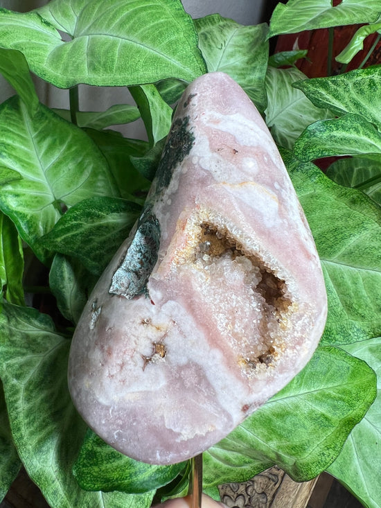 8/27 Pink Amethyst Plant Crystal