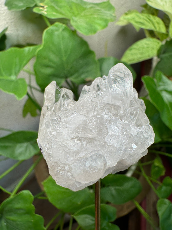 4/7 Quartz Cluster