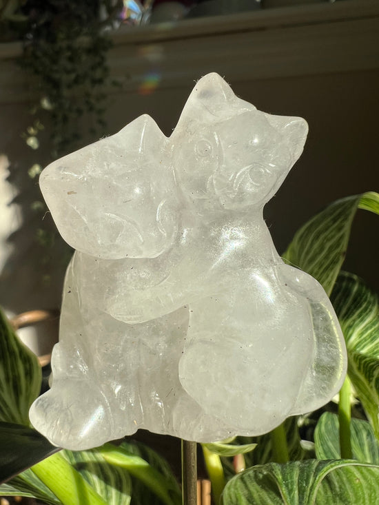 Rose Quartz Hugging Cats Plant Crystal