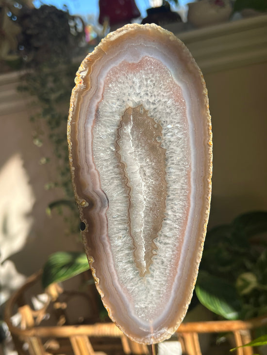 Yoni Agate Plant Crystal