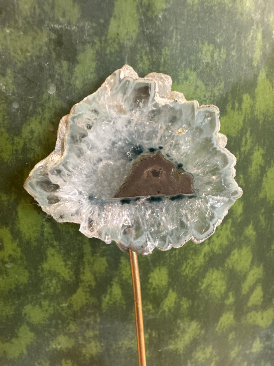 5/9 Wolfie Flower