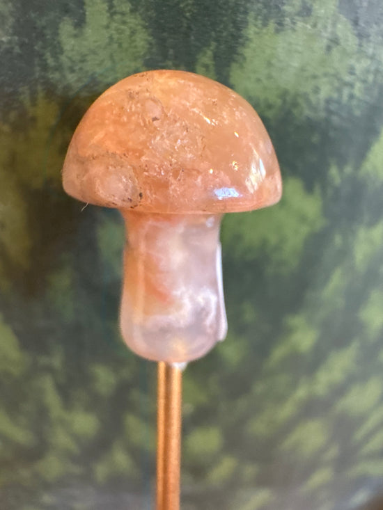2/28 Mini Mushy