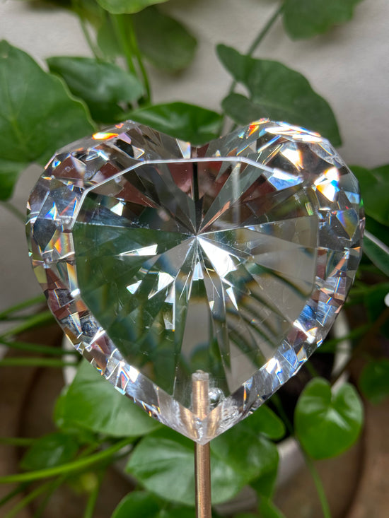 Large Heart Plant Crystal Suncatcher