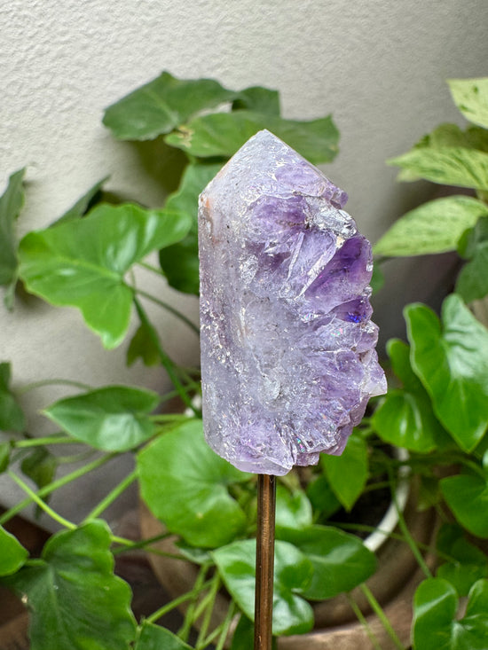 4/11 Mini Amethyst raw point