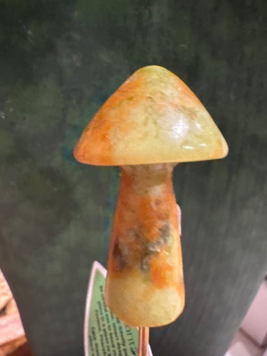 3/9 Mushroom