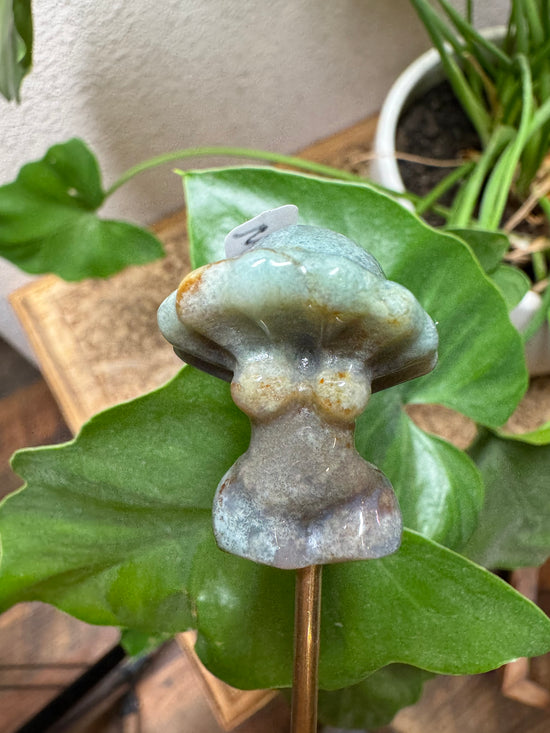 8/4 Mini mushroom Goddess ocean jasper