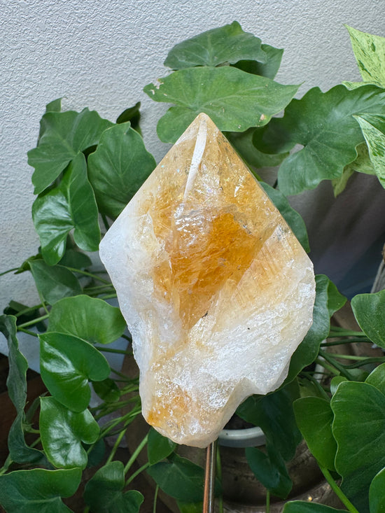 5/16 Large Citrine