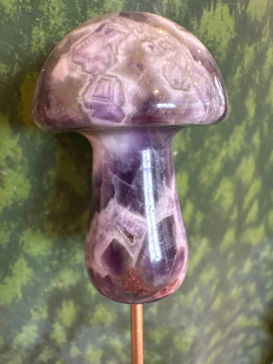 4/27 Amethyst Mushy