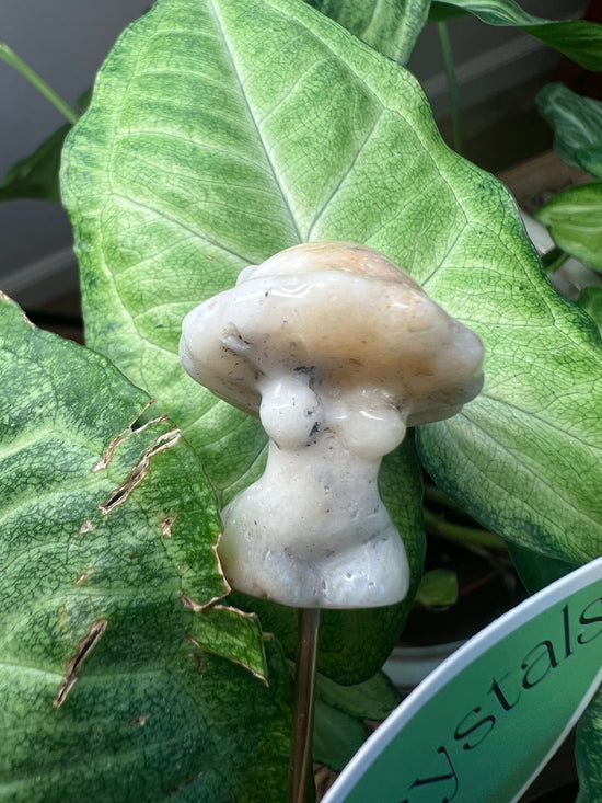 9/17 Mushroom Woman Plant Crystal