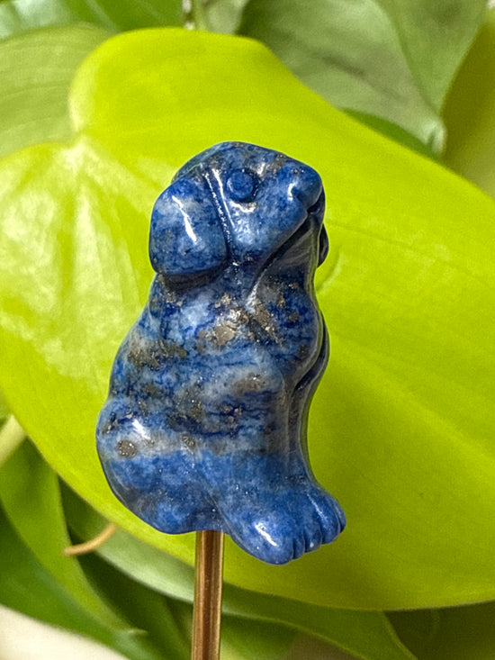 Minni Lapis Lazuli Dog Mini