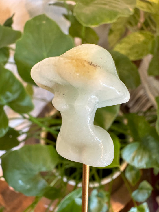 5/5 Amazonite Mushroom Goddess