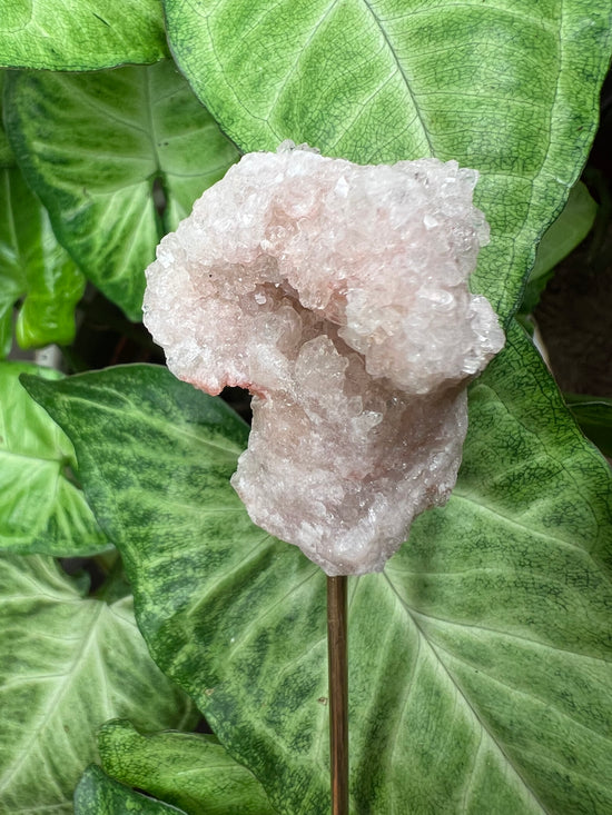 9/24 Pink Amethyst Cluster Plant Crystal