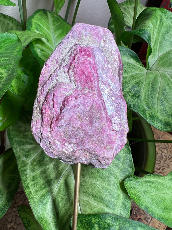 8/27 Raw Ruby Plant Crystal