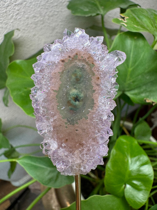 4/14 Amethyst Flower with green