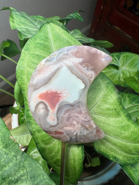 9/17 Flower Agate Plant Crystal