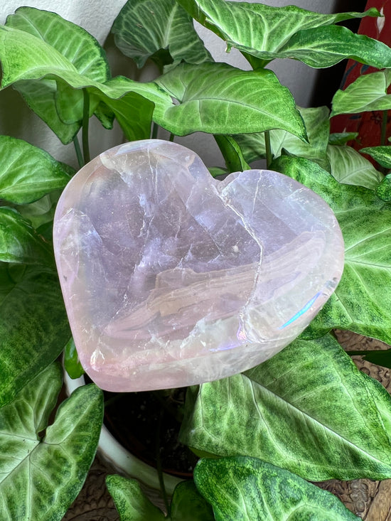 Angel Aura Rose Quartz Plant Crystal Altar Base/Dish