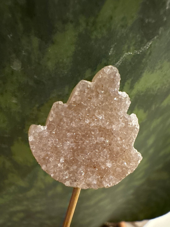 3/23 Mini Amethyst Leaf