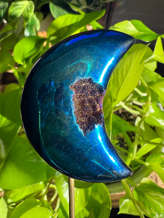 Jupiter Rainbow Titanium amethyst Moon Plant Crystal