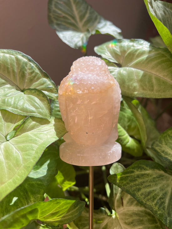 9/3 Rose Quartz Buddha Plant Crystal