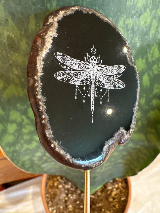 Dragonfly Agate